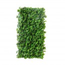 treillis-Lierre-de-Boston3.jpeg JET7GARDEN