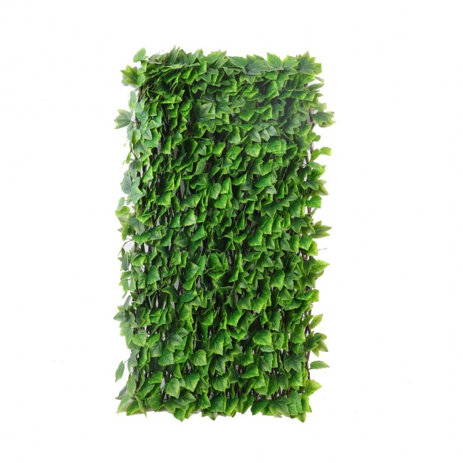 treillis-Lierre-de-Boston3.jpeg JET7GARDEN