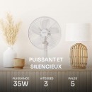 pm_11812_670_670059-bve8n2xbwe-whr.jpg TAURUS ALPATEC