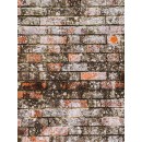 galerie_425_net-express.jpg DALEP