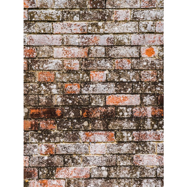 galerie_425_net-express.jpg DALEP