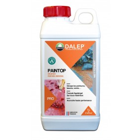 Décapant peinture – formule exclusive – pulvérisable – Paintop DALEP