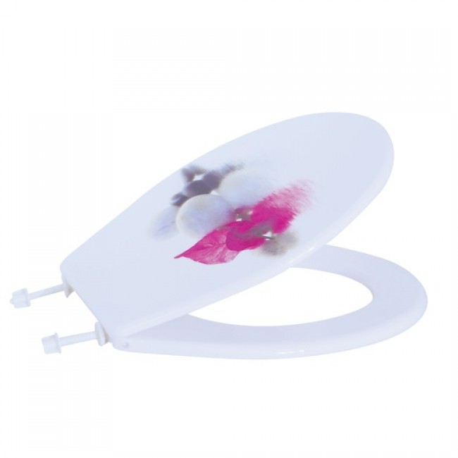 20180719145026-bc7c811a-cu_e520.jpg MSV