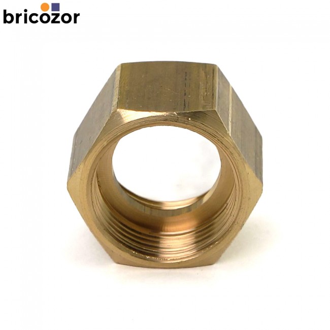 680899a2d373e.jpg BRICOZOR