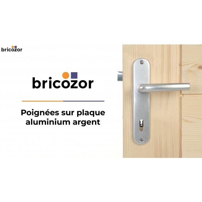 BRICOZOR_POIGNEES_23_BRICOZOR.jpg BRICOZOR