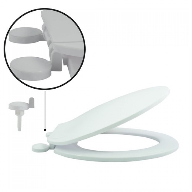 20210322144826-33171817-cu_e520.jpeg MSV