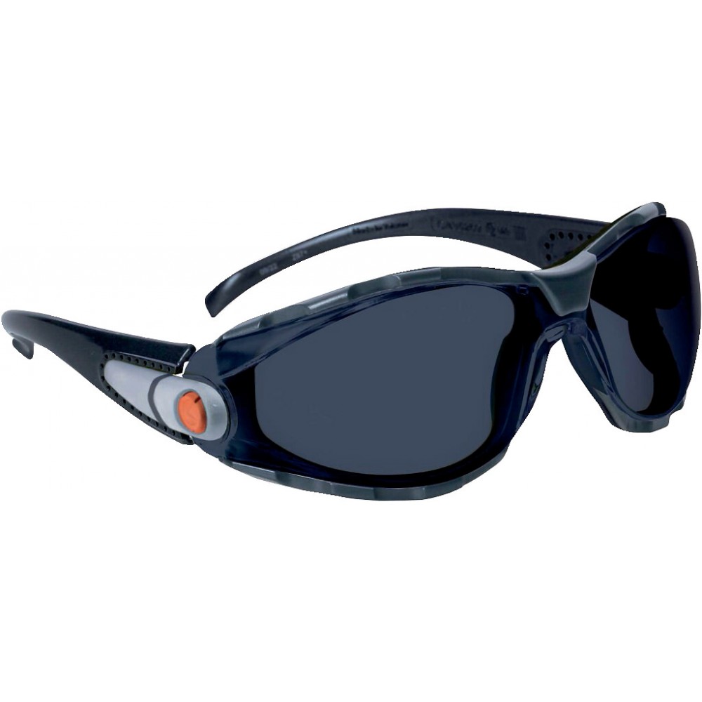 Lunettes de protection fumées - Pacaya DELTA PLUS | Bricozor