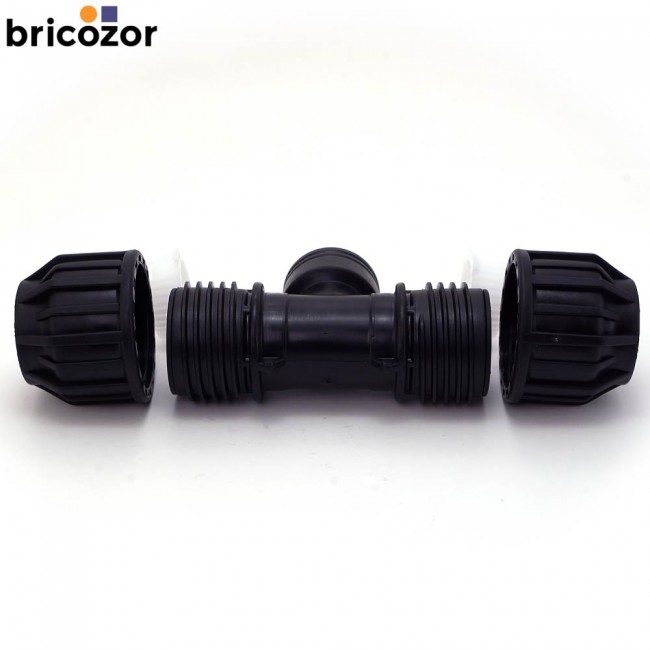 4_B2_373941_00282.jpg CODITAL