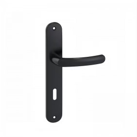 Ensemble sur grandes plaques entraxe 195 mm Budget - Onyx noir mat VACHETTE ASSA ABLOY