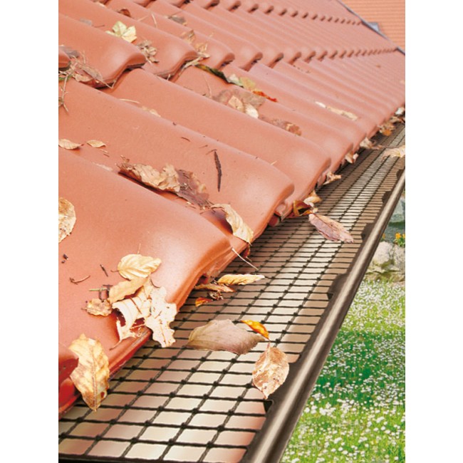 dalep_stop-feuilles.jpg DALEP