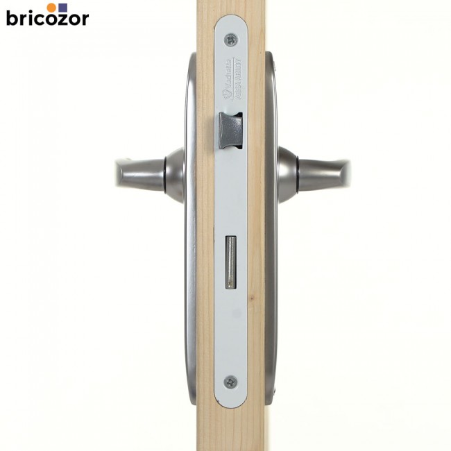 47_2023_06_07_VACHETTE_JAZZ_CHROME_VELOURS_496999_00002_BRICOZOR.jpg VACHETTE