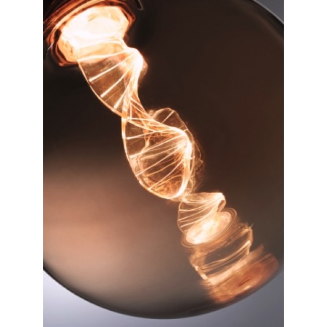 helix-globe-doré-paulmann-bricozor-2.jpg PAULMANN