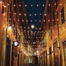 pm_11812_443_443767-r40x1qm2pt-whr.jpg FESTILIGHT